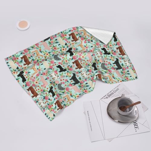 Begarm Kitchen Towels Set of 2 Farmhouse Animals Design 1