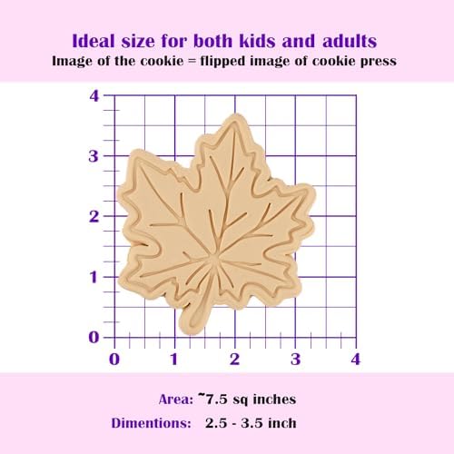 Maple Leaf Cookie Cutter - Fall Series - Dishwasher Safe 1