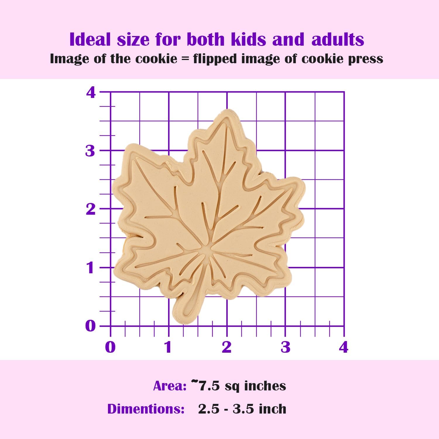 Maple Leaf Cookie Cutter - Fall Series - Dishwasher Safe 1